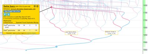 Download Family Tree Explorer
