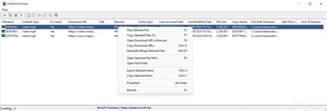 VideoCacheView 3.09 Download for